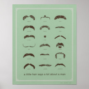Famous Moustaches Poster