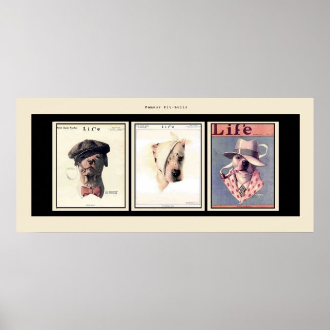 Famous Pit Bulls Poster (Front)