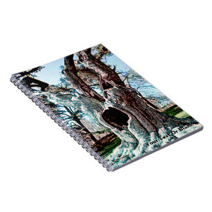 Famous Wizard Movie Tree Notebook