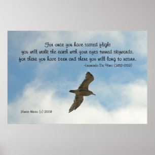 Famous Words: Flight - Seagull - Poster