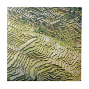 Famous yuanyang Rice Terraces - Yunnan, China Ceramic Tile