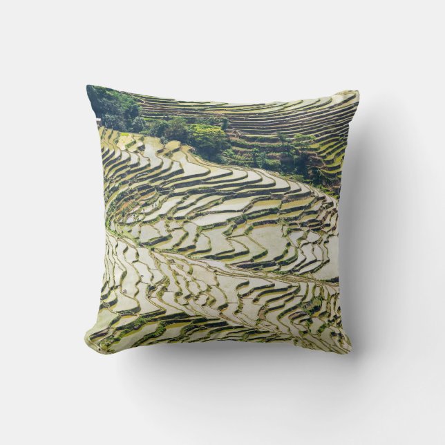 Famous yuanyang Rice Terraces - Yunnan, China Cushion (Front)