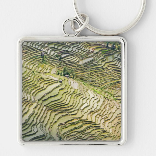 Famous yuanyang Rice Terraces - Yunnan, China Key Ring (Front)