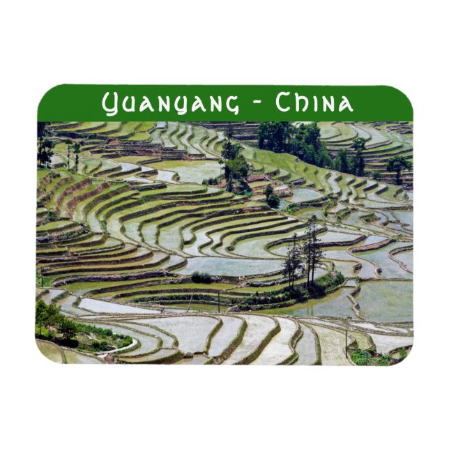 Famous yuanyang Rice Terraces - Yunnan, China Magnet (Horizontal)