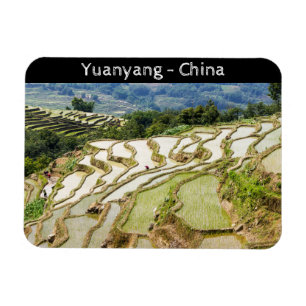Famous yuanyang Rice Terraces - Yunnan, China Magnet