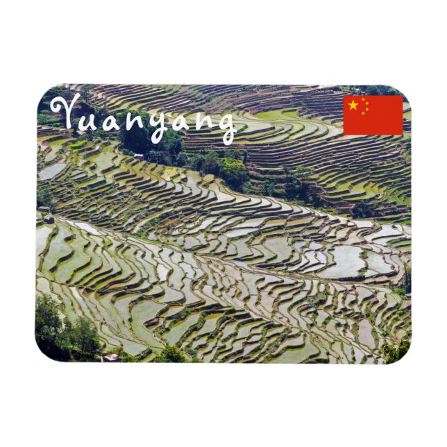 Famous yuanyang Rice Terraces - Yunnan, China Magnet (Horizontal)