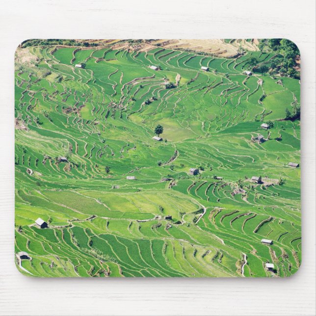 Famous yuanyang Rice Terraces - Yunnan, China Mouse Pad (Front)