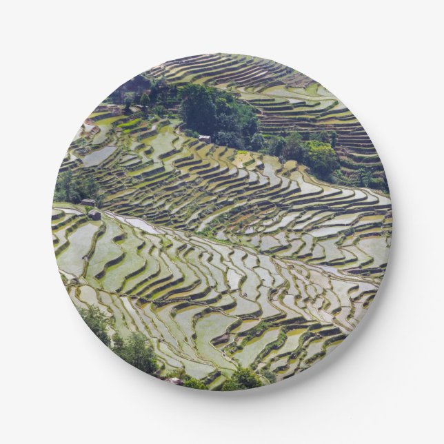 Famous yuanyang Rice Terraces - Yunnan, China Paper Plate (Front)