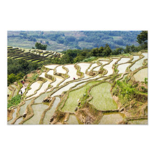 Famous yuanyang Rice Terraces - Yunnan, China Photo Print