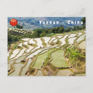 Famous yuanyang Rice Terraces - Yunnan, China Postcard
