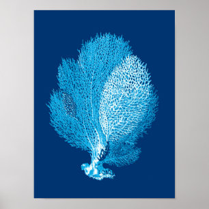 Fan Coral Sea Life Print, Indigo Blue and White Poster