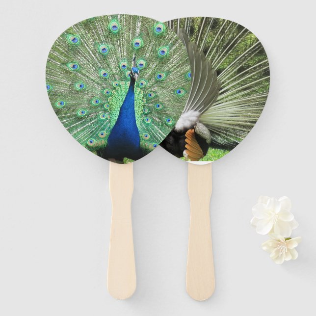 Fan - Peacock (Front and Back)