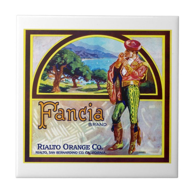 Fancia Oranges Ceramic Tile (Front)