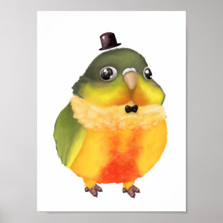 Fanciful Conure Print