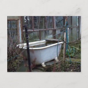 Fancy a bath? postcard