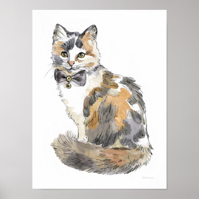 Fancy Calico Cat Poster (Front)