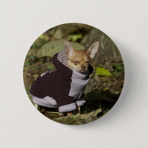 Fancy Chihuahua 6 Cm Round Badge