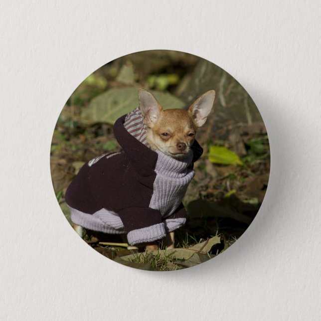 Fancy Chihuahua 6 Cm Round Badge (Front)