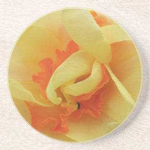 Fancy Daffodil Coasters