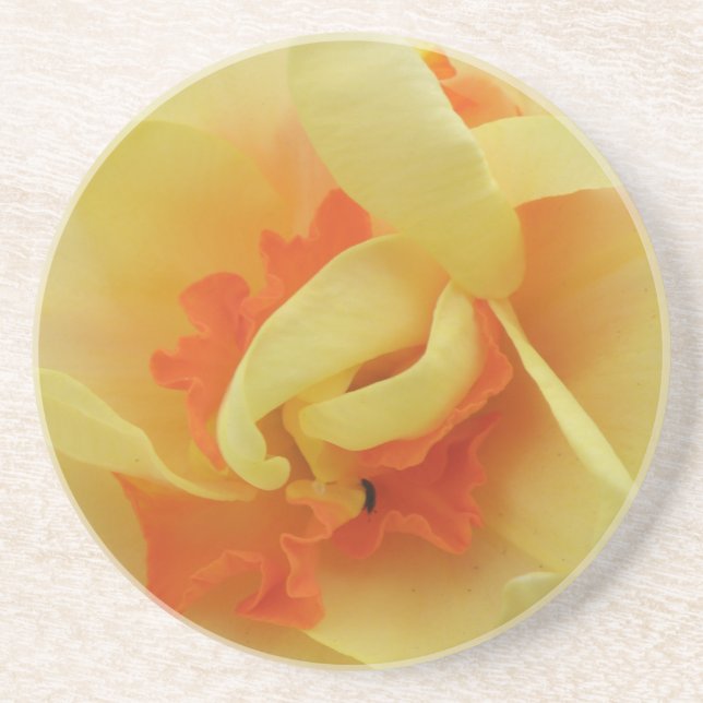 Fancy Daffodil Coasters (Front)