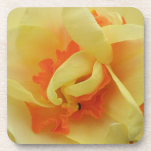 Fancy Daffodil Cork Coaster