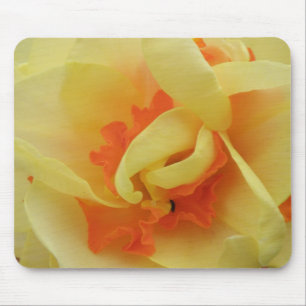 Fancy Daffodil Mousepad
