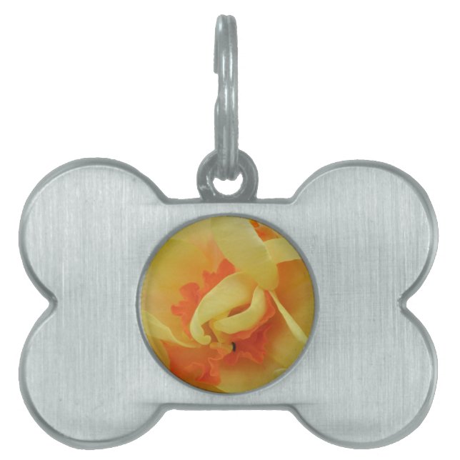 Fancy Daffodil Pet Tag (Front)