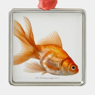 Fancy Goldfish Metal Tree Decoration