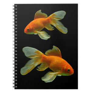 Fancy Goldfish on Black Notebook