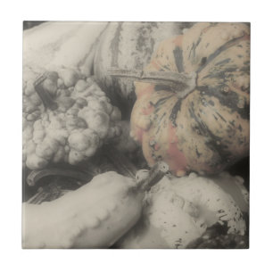Fancy Gourds In Black And White Ceramic Tile