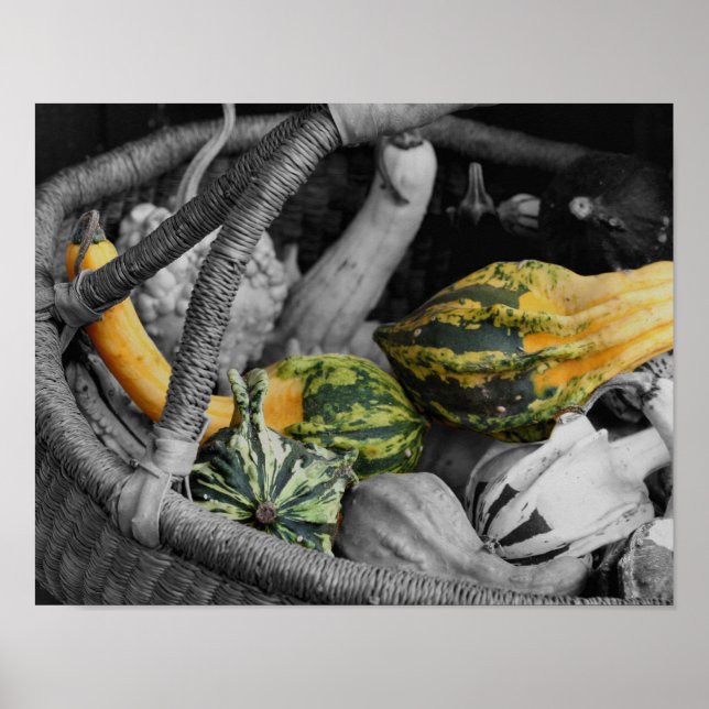 Fancy Gourds In Wicker Basket Partial Colour Poster (Front)