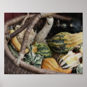 Fancy Gourds In Wicker Basket Photo Painting Poster