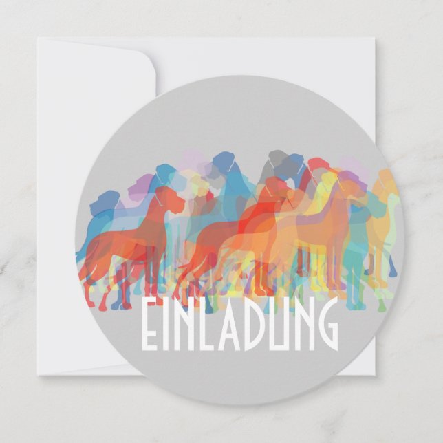 Fancy Great Danes (Front)