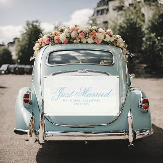 Fancy Just Married Car Banner