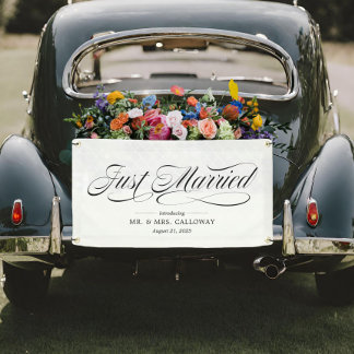 Fancy Just Married Car Banner