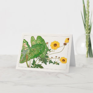 Fancy-leafed caladium, Coreopsis by Tanigami Konan Card