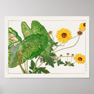 Fancy-leafed caladium, Coreopsis by Tanigami Konan Poster
