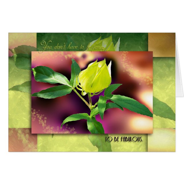 Fancy or Fabulous? (Front Horizontal)