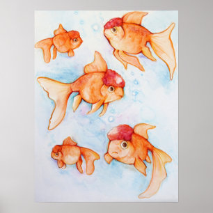 Fancy Oranda Goldfish Poster