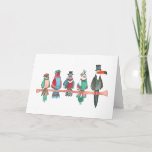 Fancy Parrots and a Silly Toucan, Blank Card