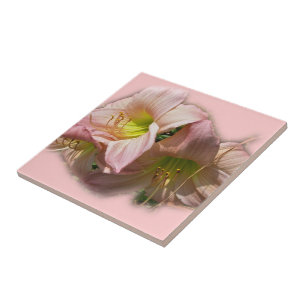 Fancy Pink Daylilies Tile