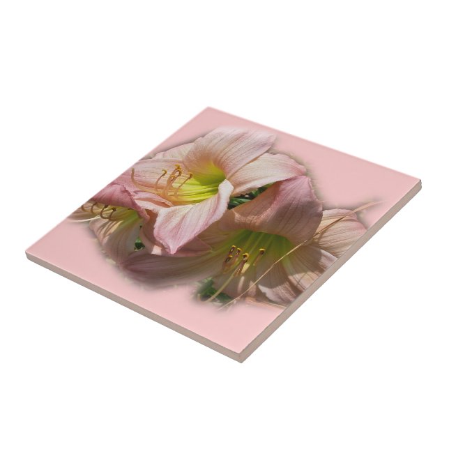 Fancy Pink Daylilies Tile (Side)
