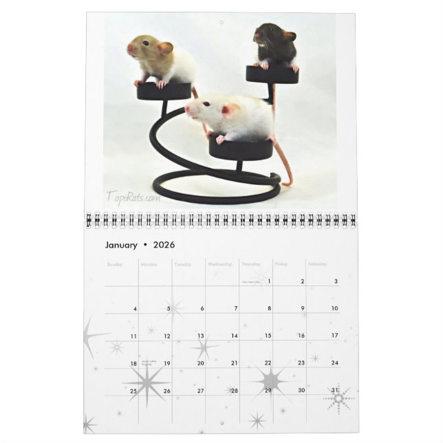 Fancy Rats 2013 Calendar (Jan 2026)