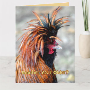 Fancy Rooster Happy Birthday Humour BIG SIZE Card