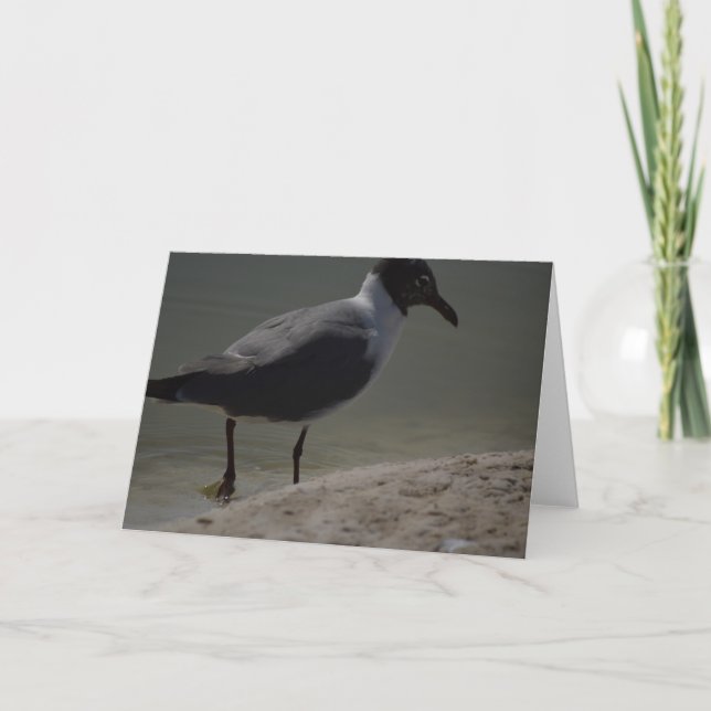 Fancy Seagull Notecard (Front)