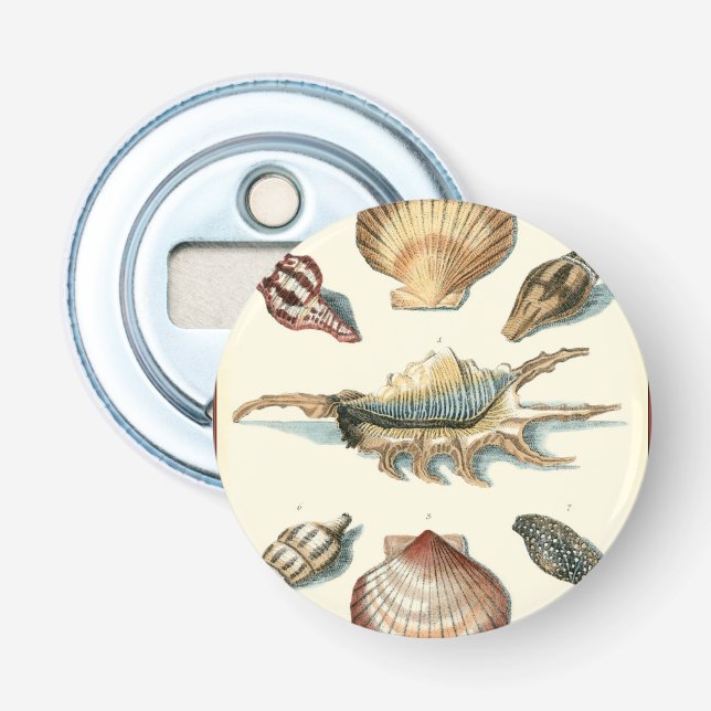 Fancy Shell Beach Bottle Opener (Front)