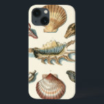Fancy Shell Beach iPhone 13 Case<br><div class="desc">George Wolfgang Knorr is known for the delicate detail and precision of his illustrations of shells and starfish. His drawings were influenced by his own interest in science,  a popular subject matter of his era.</div>