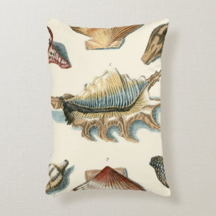 Fancy Shell Beach Decorative Cushion