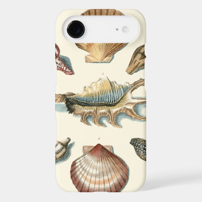 Fancy Shell Beach iPod Touch (5th Generation) Cover (Back)