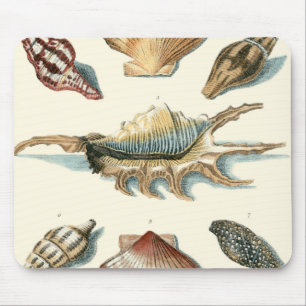 Fancy Shell Beach Mouse Pad